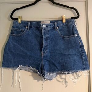Everlane Denim Cutoff Shorts